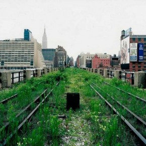Primavera en The High Line Park Primavera en The High Line Park