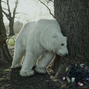 Greenpeace - Oso Polar Homeless Greenpeace - Oso Polar Homeless