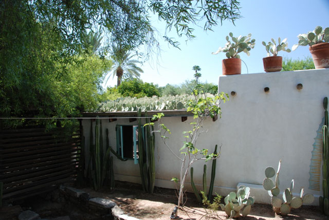 Arizona Green Roof