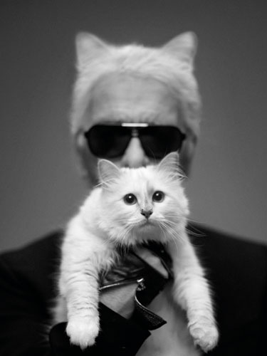 Choupette Lagerfeld superstar