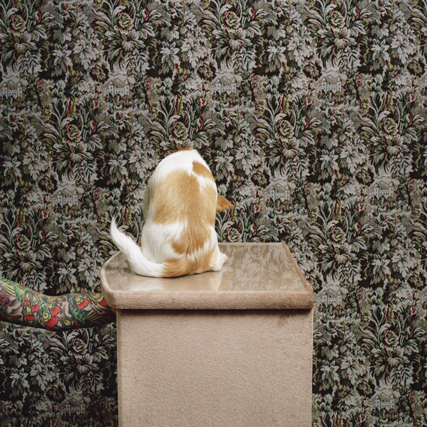 Contraste en Perhaps Finally Alone de Elizabeth Noguera Lopez