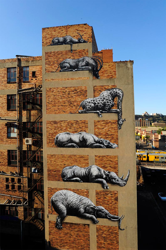 ROA en Johannesburgo
