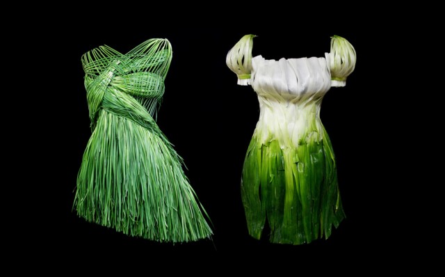 Moda con Comida