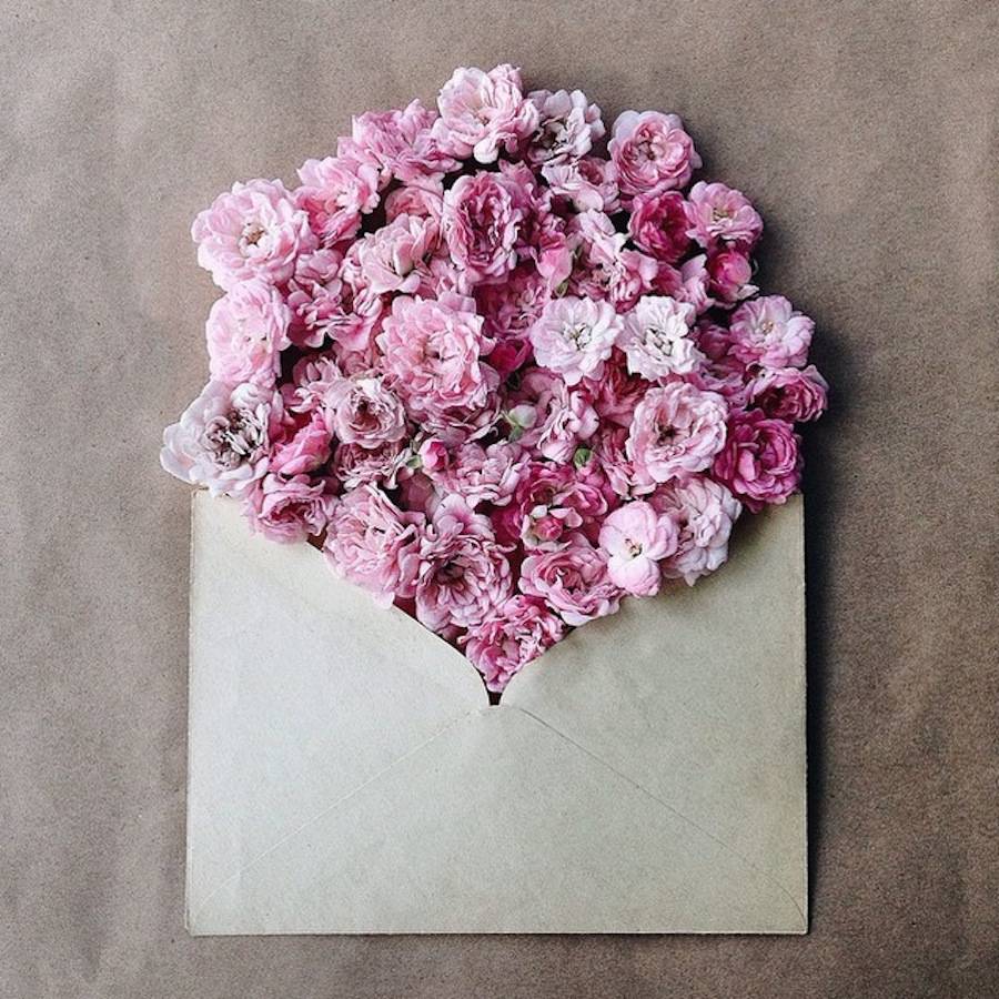 Flores en sobres por Anna Remarchuk