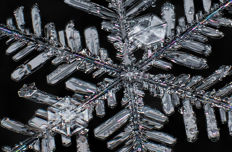 Snowflakes por Don Komarechka