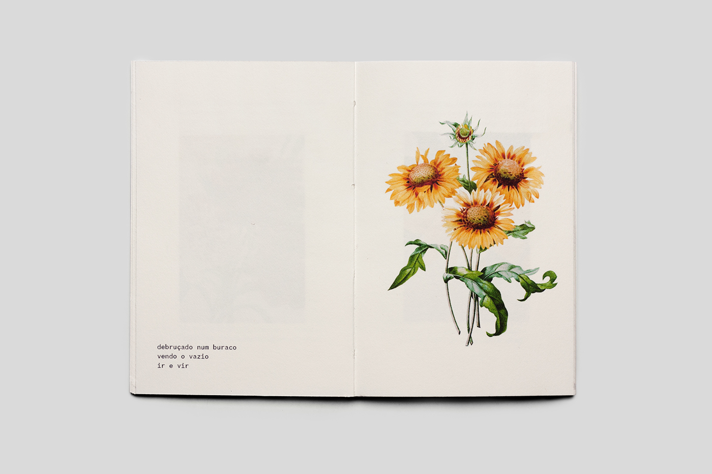 Flores + Haikus por Vitor de Carvalho