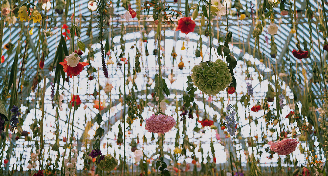 Flores, flores y flores