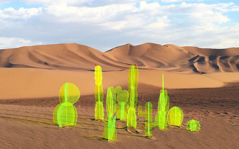 Instalación de cactus fosforecentes por Nobel Truong