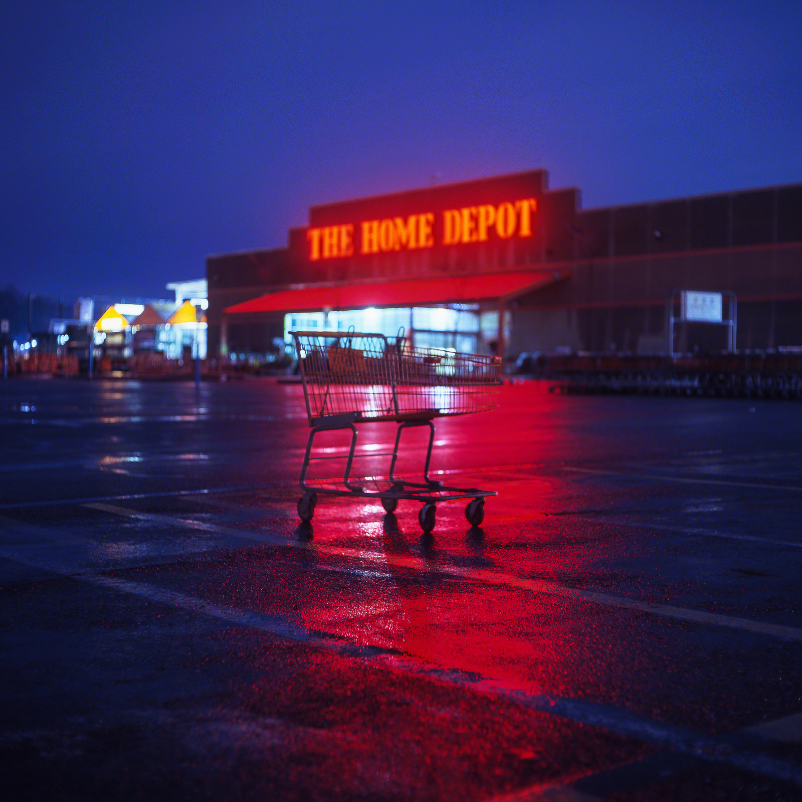 “Still” por Patrick Joust